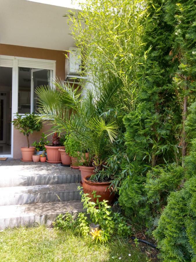 Bamboo Wellness Apartment Siofok Ngoại thất bức ảnh